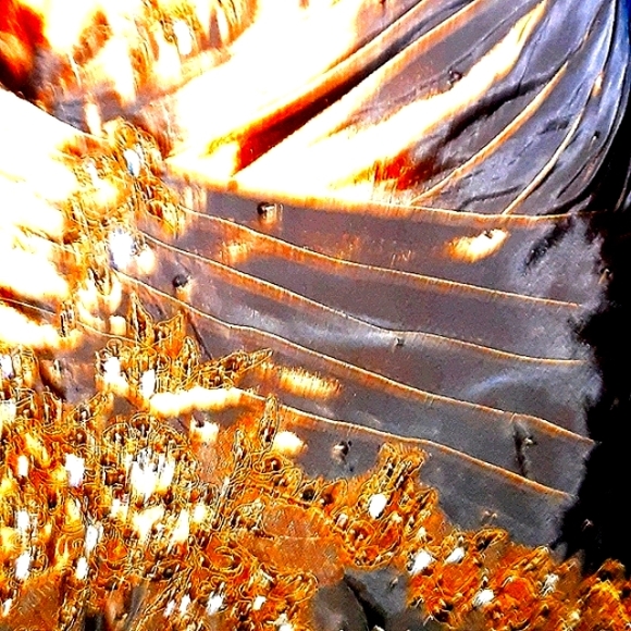 Rina DiMontella Silk Gown - Picture 10 of 10